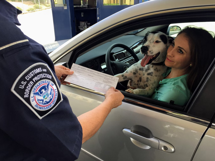 regulation